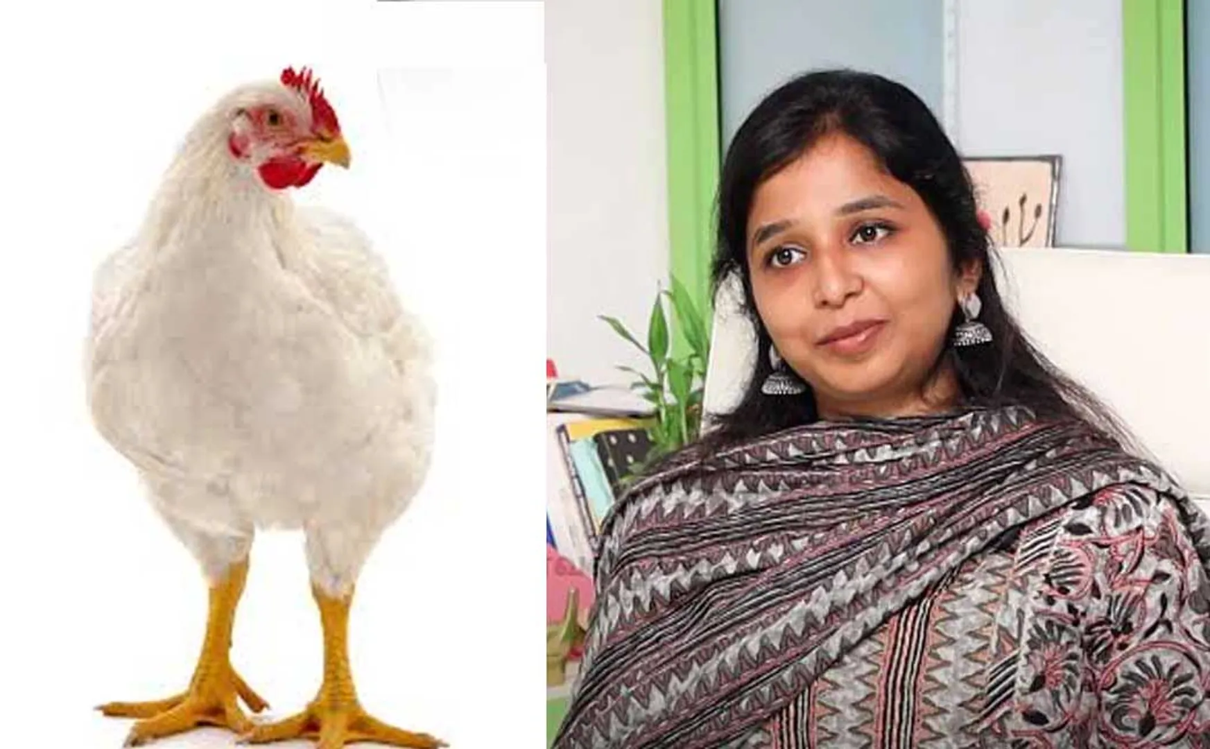 Does eating broiler chicken cause menstrual problems? - explains Siddha doctor Sharmika